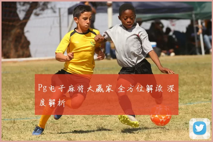 Pg电子麻将大赢家 全方位解读 深度解析