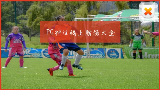 _PG押注线上赌场大全_
